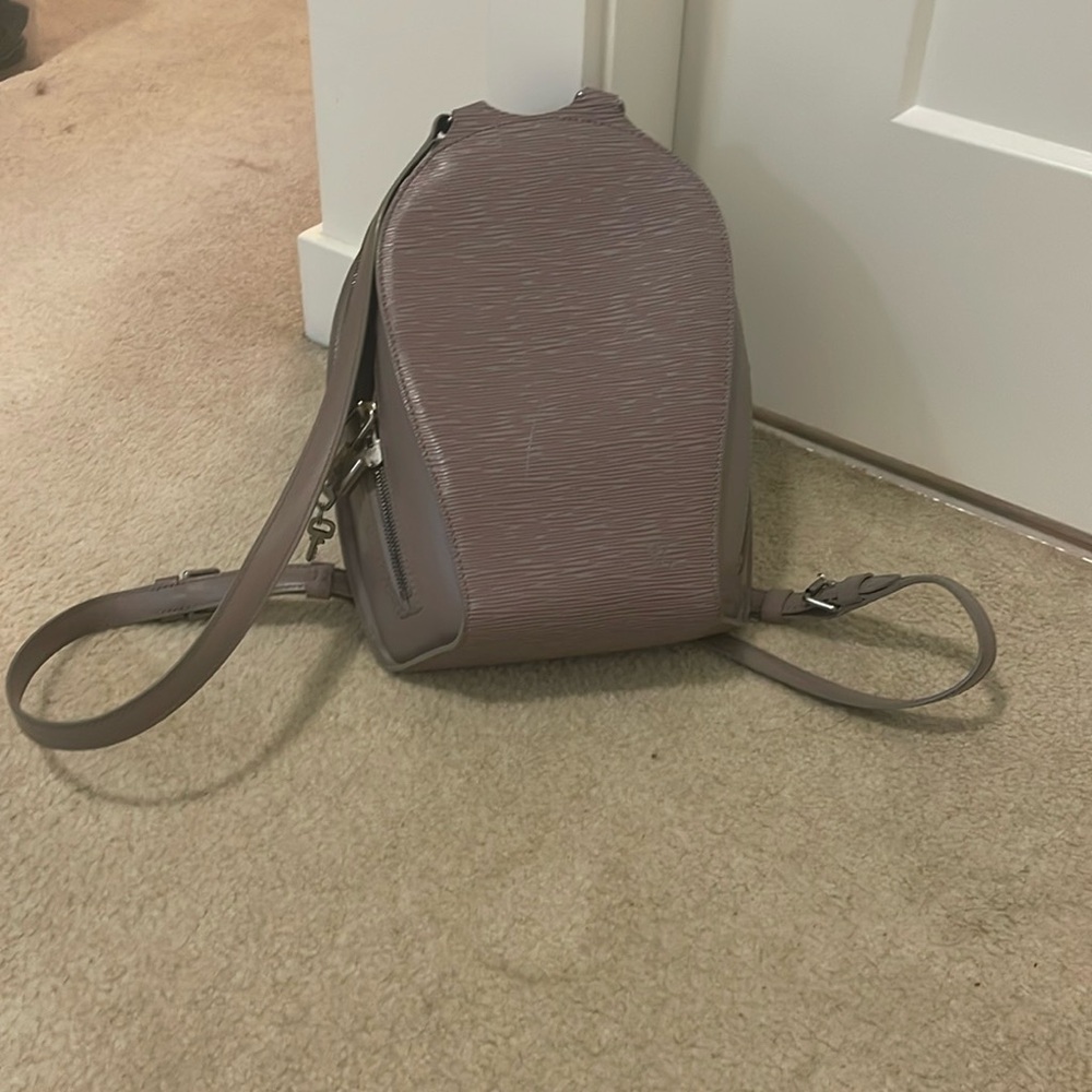 Vintage LV, Epi, backpack, moth